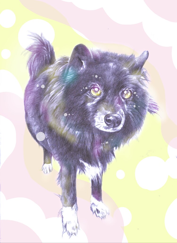 ペットや動物♡手描き感あるデジタルイラスト描きます かわいいペットの似顔絵やお好きな動物を絵にします。 イメージ2