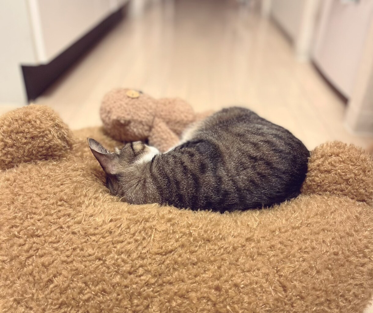 あなたの話し相手になり、癒します あなたが今話したいこと、何でも聞きます＾＾ イメージ4