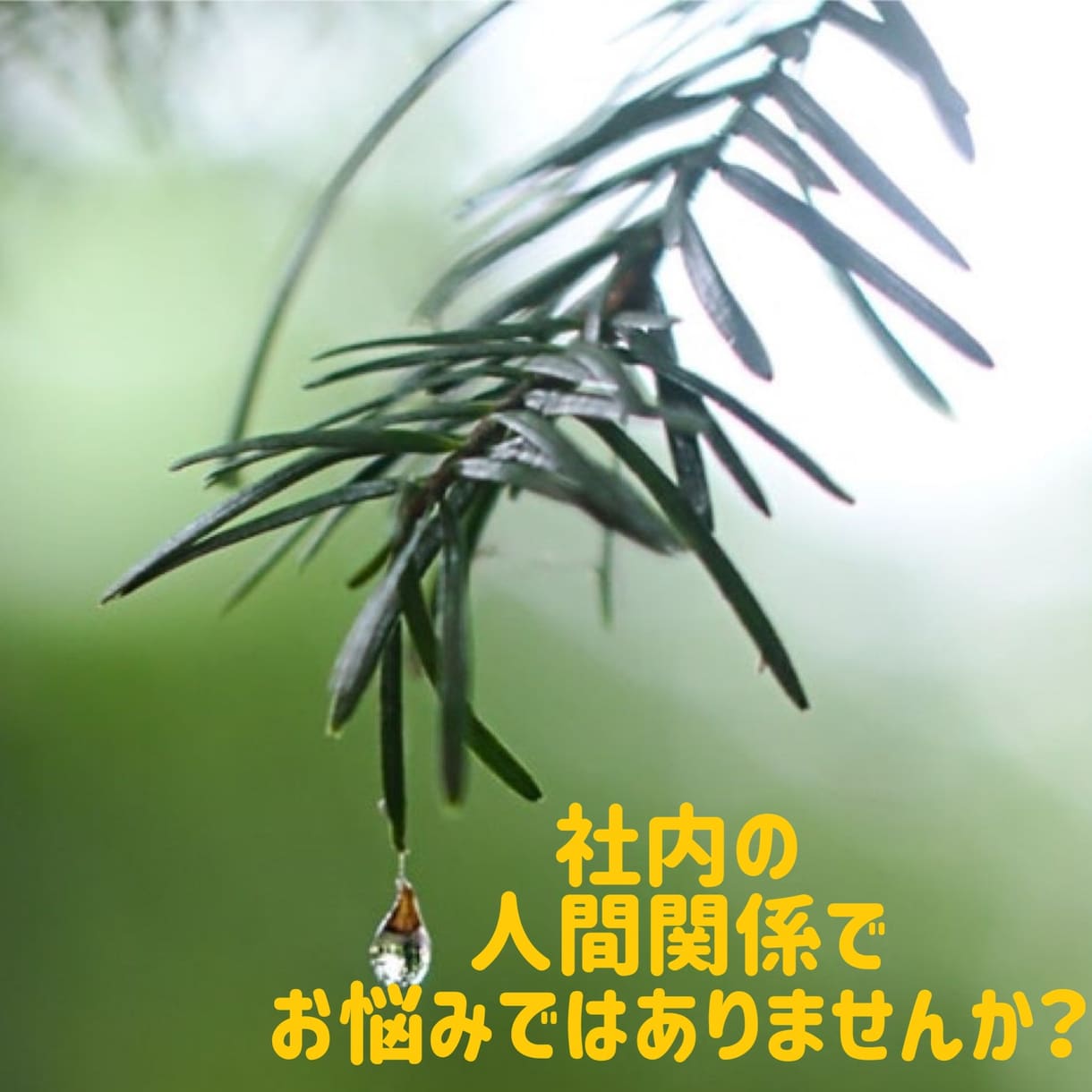 ココロのモヤモヤなお話し聞きます 【メンタルカウンセラーが愚痴、悩み、相談、お話し聞きます。】 イメージ7