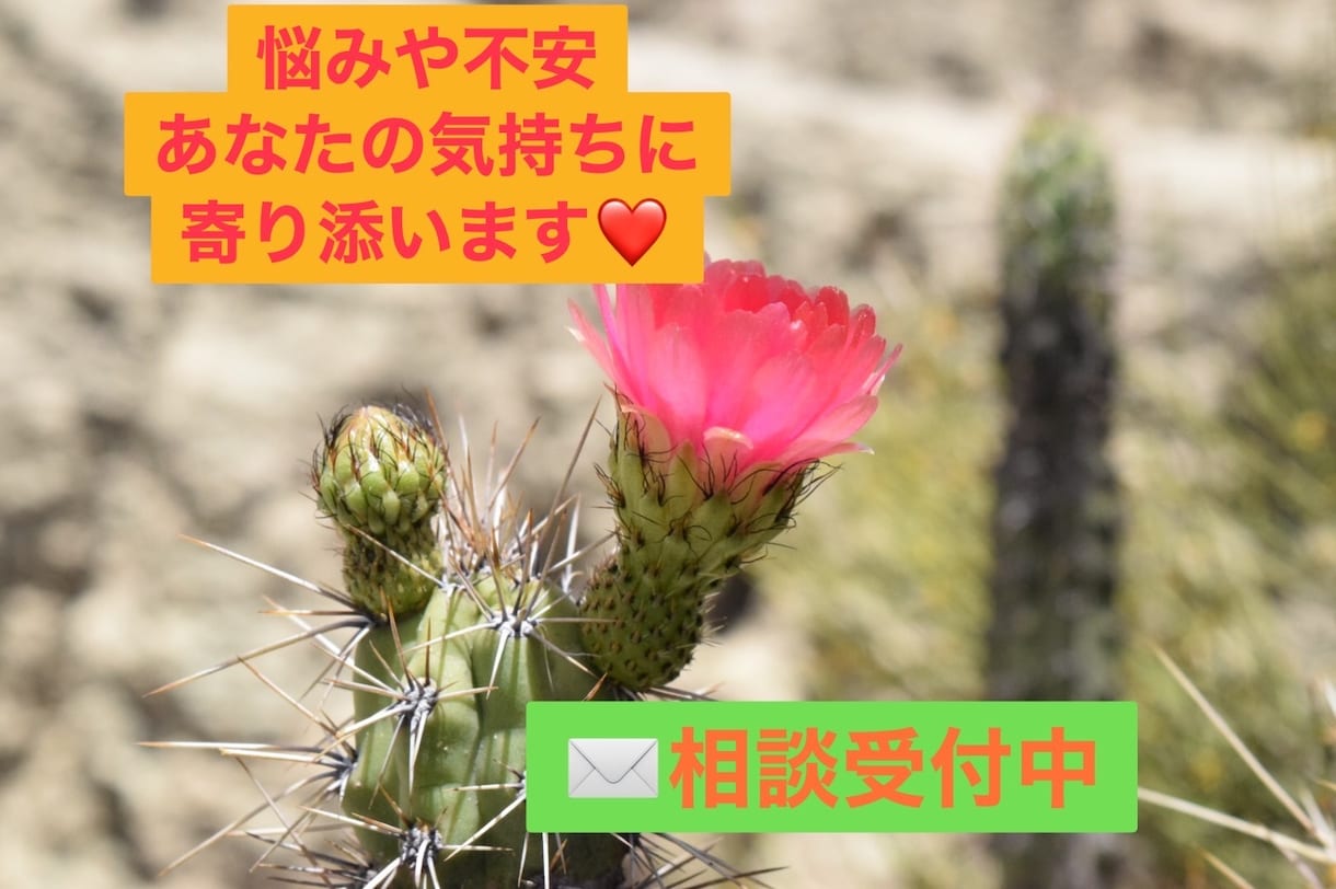 日々の悩みや不安に2日間✉️相談で寄り添います (仕事・家庭・恋愛・不妊・出産・育児・保活など) イメージ1