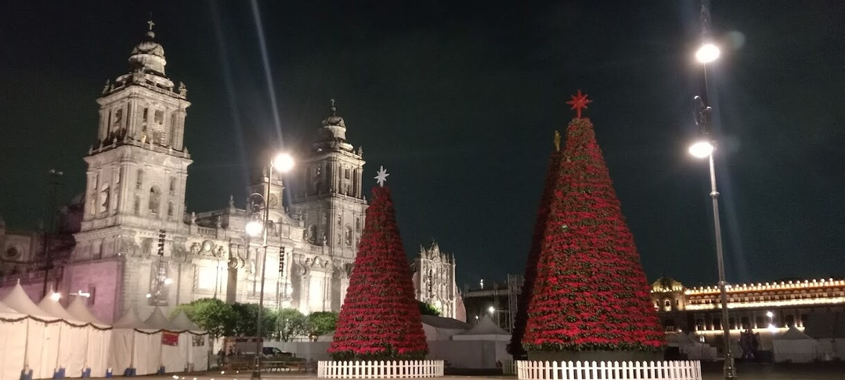 メキシコ旅行初心者必見！役立つスペイン語教えます 不安ゼロでワクワク！メキシコ旅行必須フレーズを楽しく習得 イメージ5