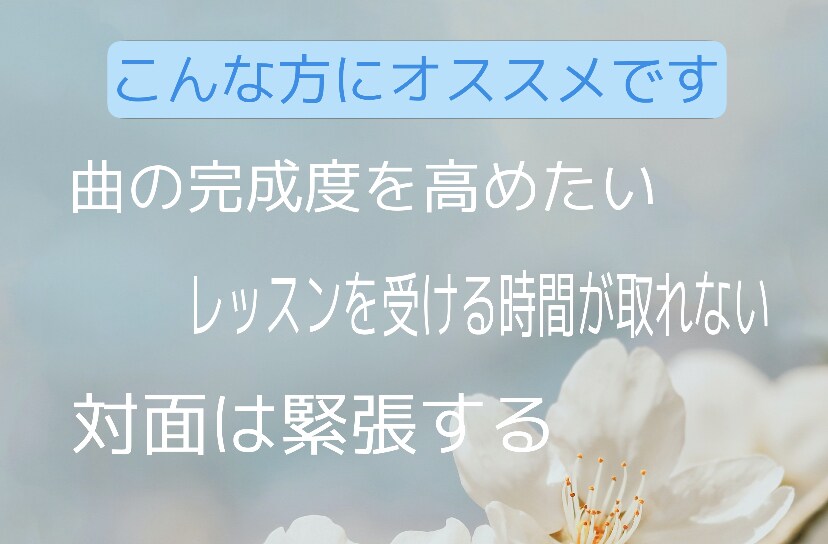 動画でレッスン！ピアノの練習をサポートします 対面は緊張するという方にオススメです イメージ2