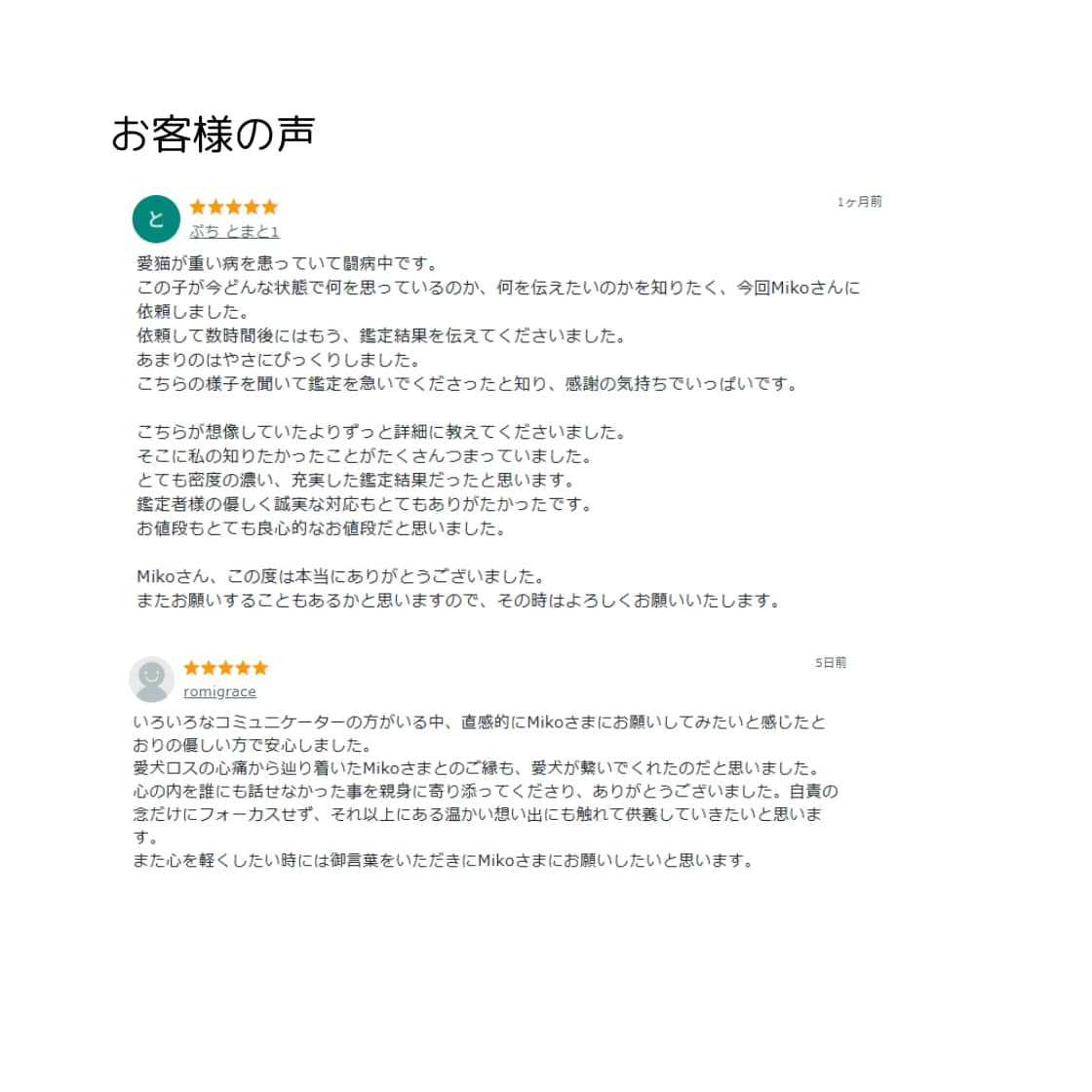即日対応｜ペットの気持ち・伝えたい想いを霊視します 約2,000～3,000文字｜あの子の声をお届けします イメージ10