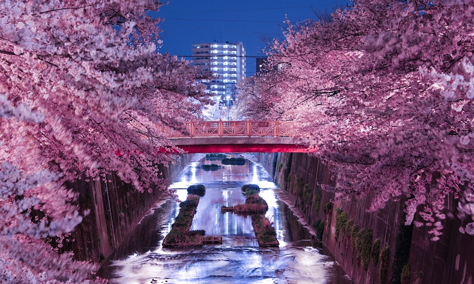 ご先祖供養、浄化・ヒーリング・解放セッションします ヒーリング力と、チャネリング力で  先祖の想いを汲み取り癒す イメージ10