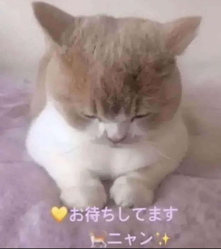 メッセージ相手☆愚痴☆悩み事 ♡お待ちします 貴方の ♡心の 声 ♡ お待ちしています☆気兼ねく連絡 イメージ1