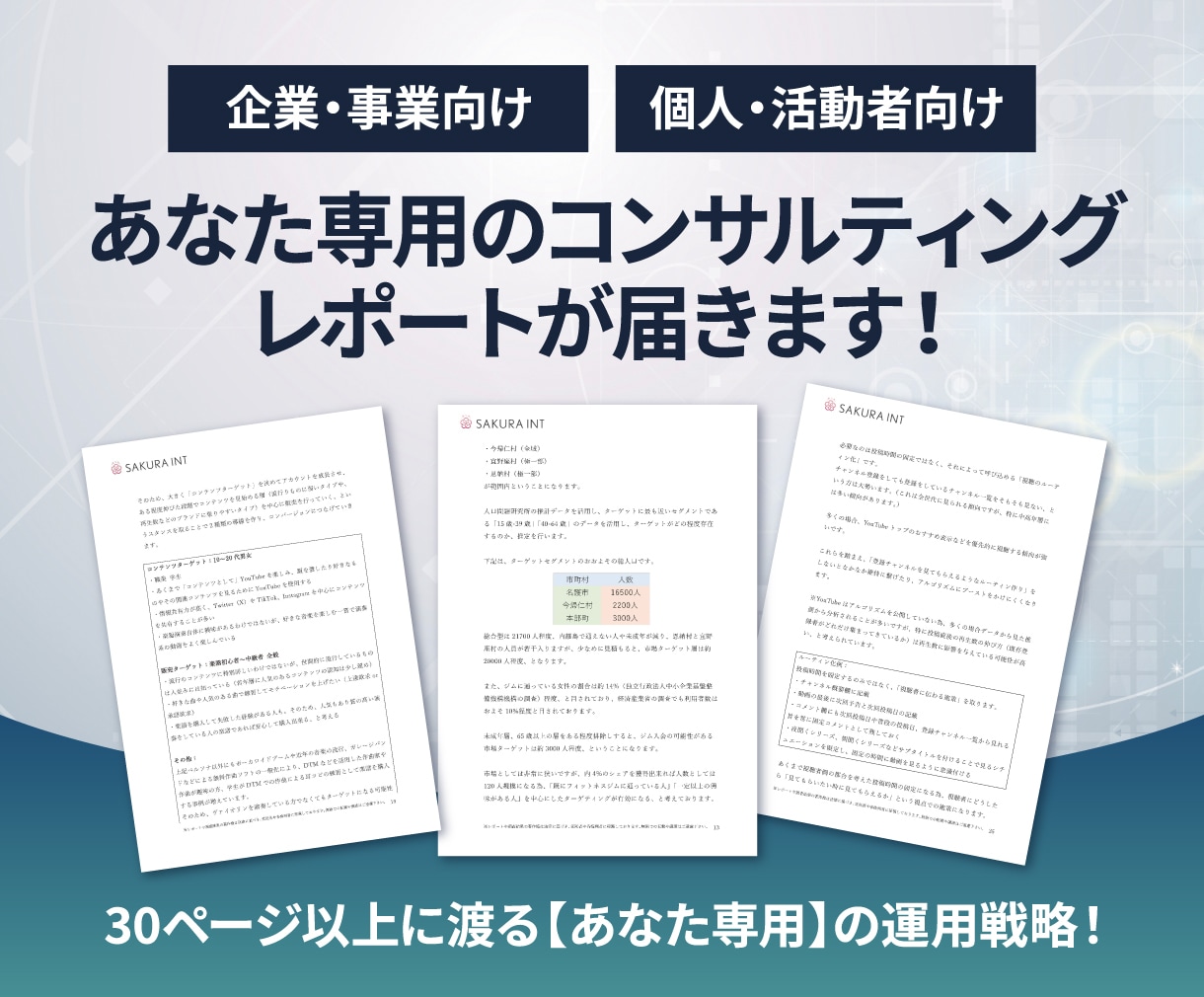 事業・個人用SNSの集客コンサルを行います 有名インフルエンサーも担当するプロが戦略レポートを作成します イメージ2