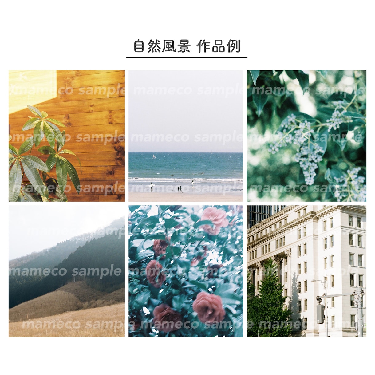 自然風景/商品をフィルムカメラでお洒落に撮影します 雰囲気のある写真素材が必要な方に！ イメージ2