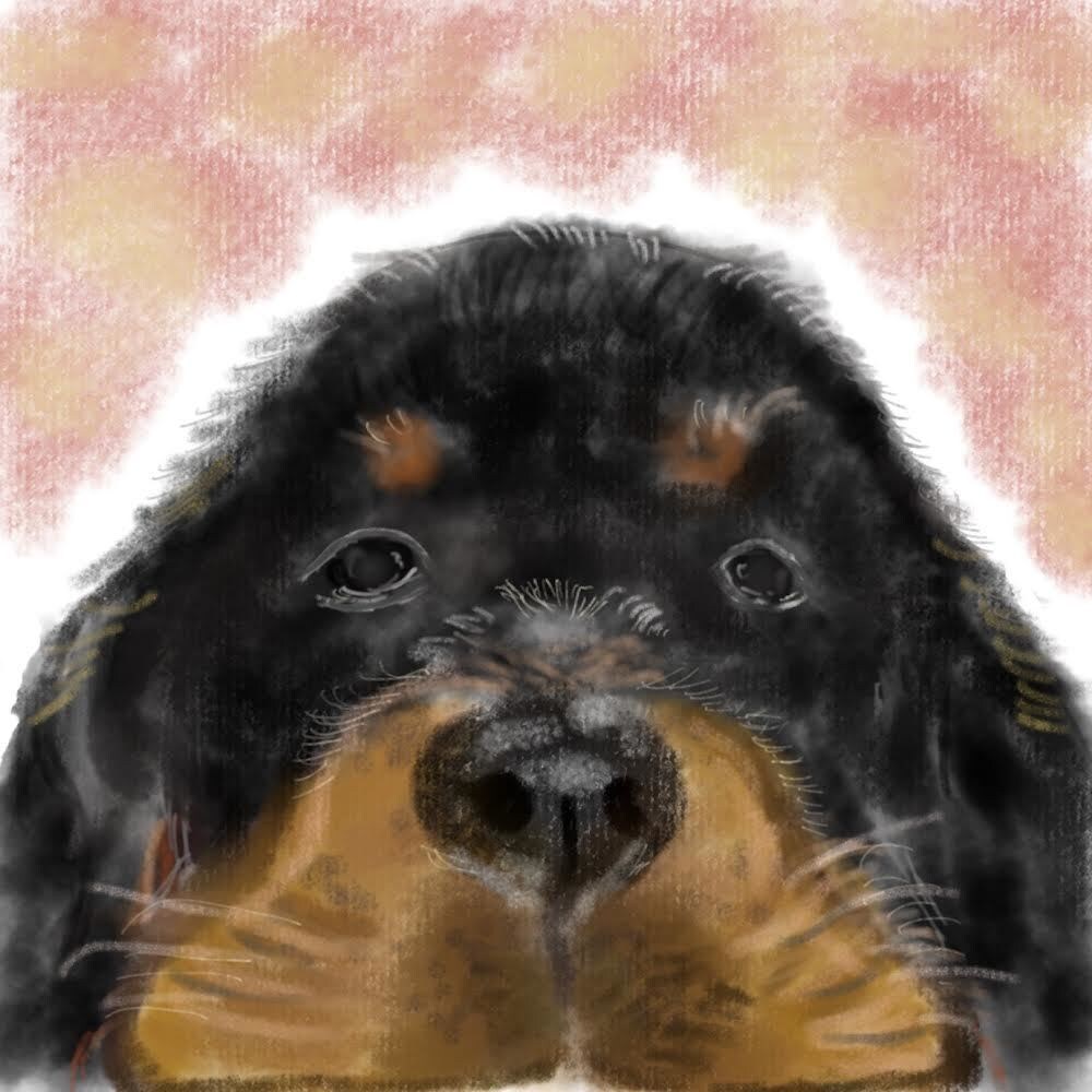 大切なワンちゃんのアートを水彩ペン使って描きます 思い出や性格のカラーを背景に反映させます♡デジタルアート！ イメージ7