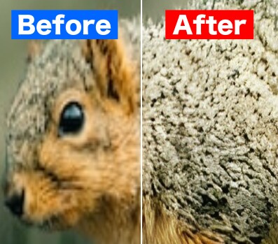 1000円で貴方の低画質の写真を高画質にします 過去のボヤッとした記憶を、澄んだ未来へ。 イメージ2