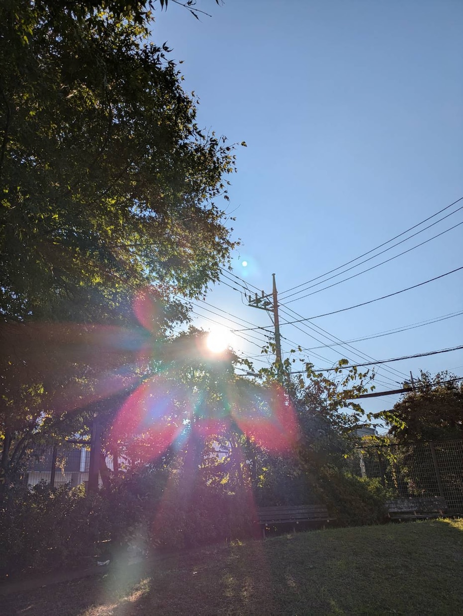 初心者向け！タロットリーディング教えます 覚えなくても占いは可能です。初心者向けのタロット講義をします イメージ5