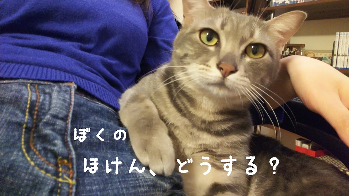 ペット保険の相談にのります ワンちゃん・ネコちゃんも、大切な家族。 イメージ1