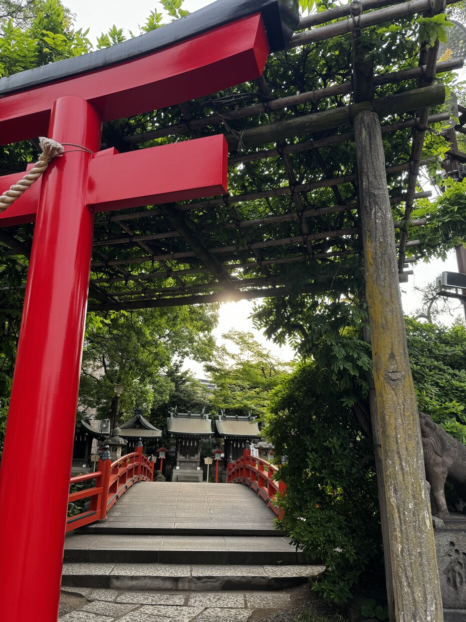 霊視/霊感占術にて「気になる」にお答えします 恋愛/仕事/人間関係/悩みを整理するお手伝いをします イメージ6