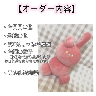3月まで特別価格！お安くセミオーダーぬい作ります 自分だけのコロコロ可愛いぬいぐるみはいかがですか？♡ イメージ2