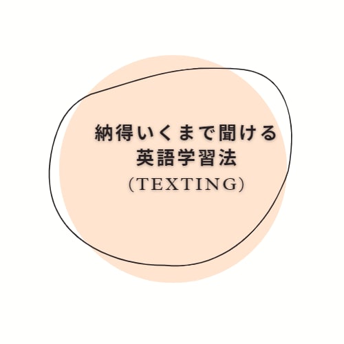 実践で使うための主体的な英語学習法をお伝え致します 一生悩むことのない最適な英語の身につけ方がわかります。 イメージ1