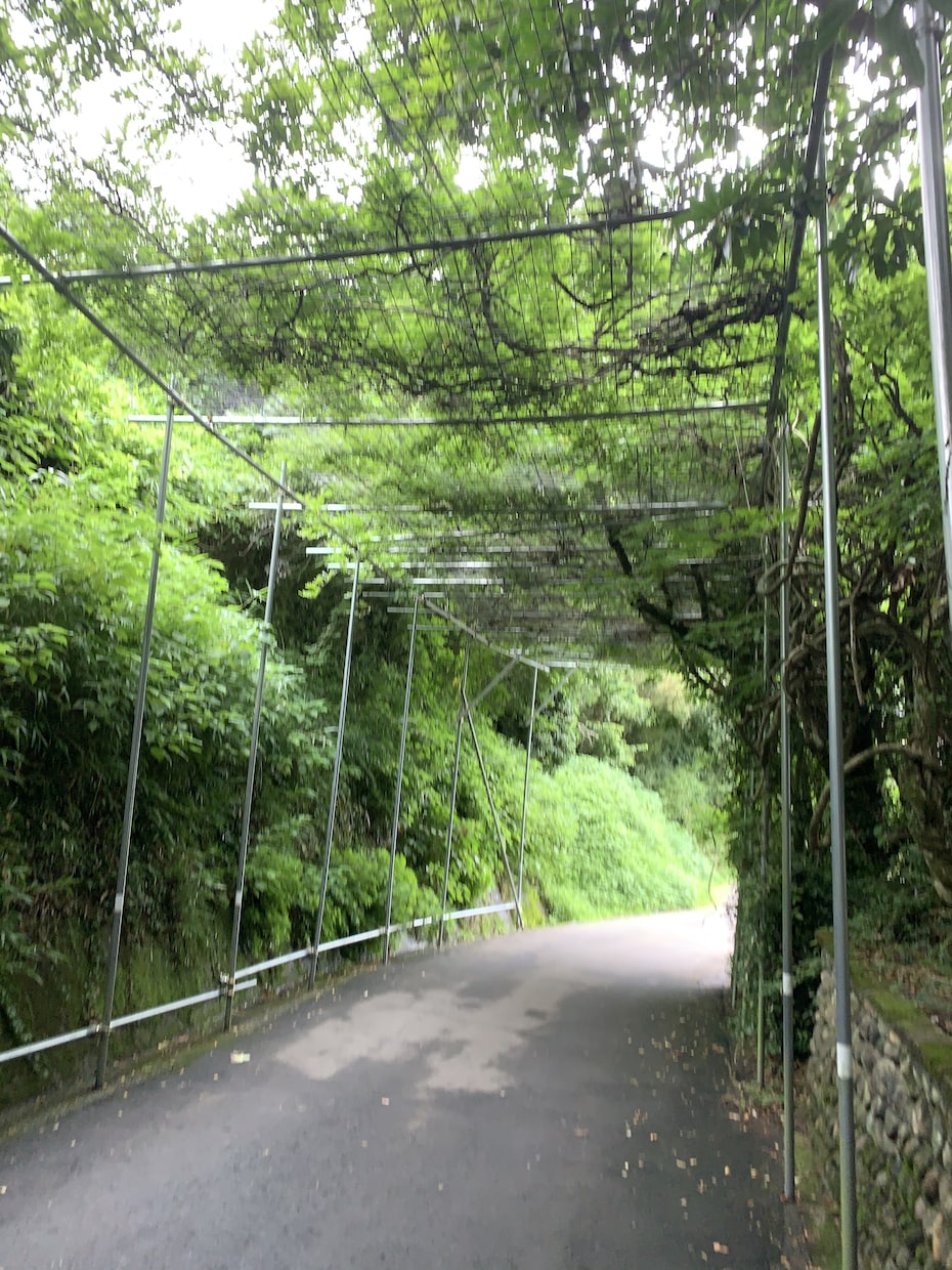 霊感霊視でお相手様のお気持ちを深い所まで視ます ⭐︎視えたままをそのままお伝えします。 イメージ2