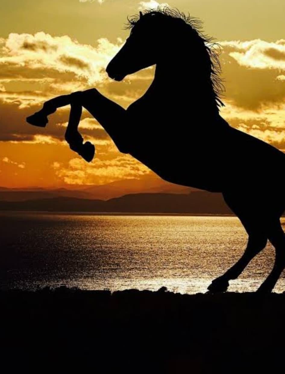 競馬予想お届けします 普段負けている競馬から、勝てる競馬へ！競馬予想屋！ イメージ1