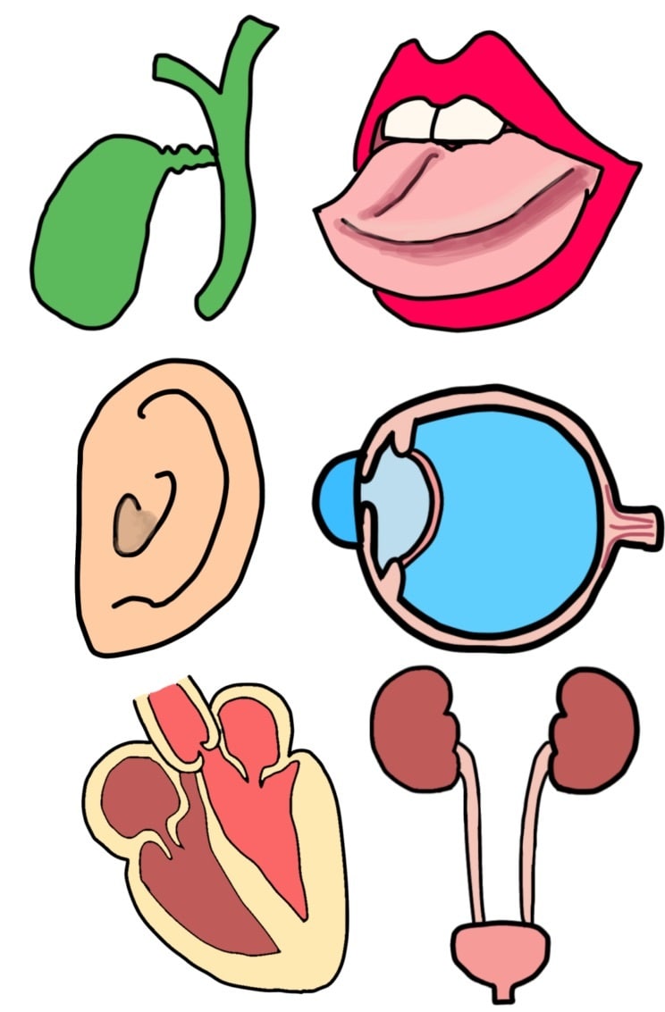 ゆるい医療イラスト作成します 商用可能！パンフレットやSNSにいかがでしょうか？ イメージ2