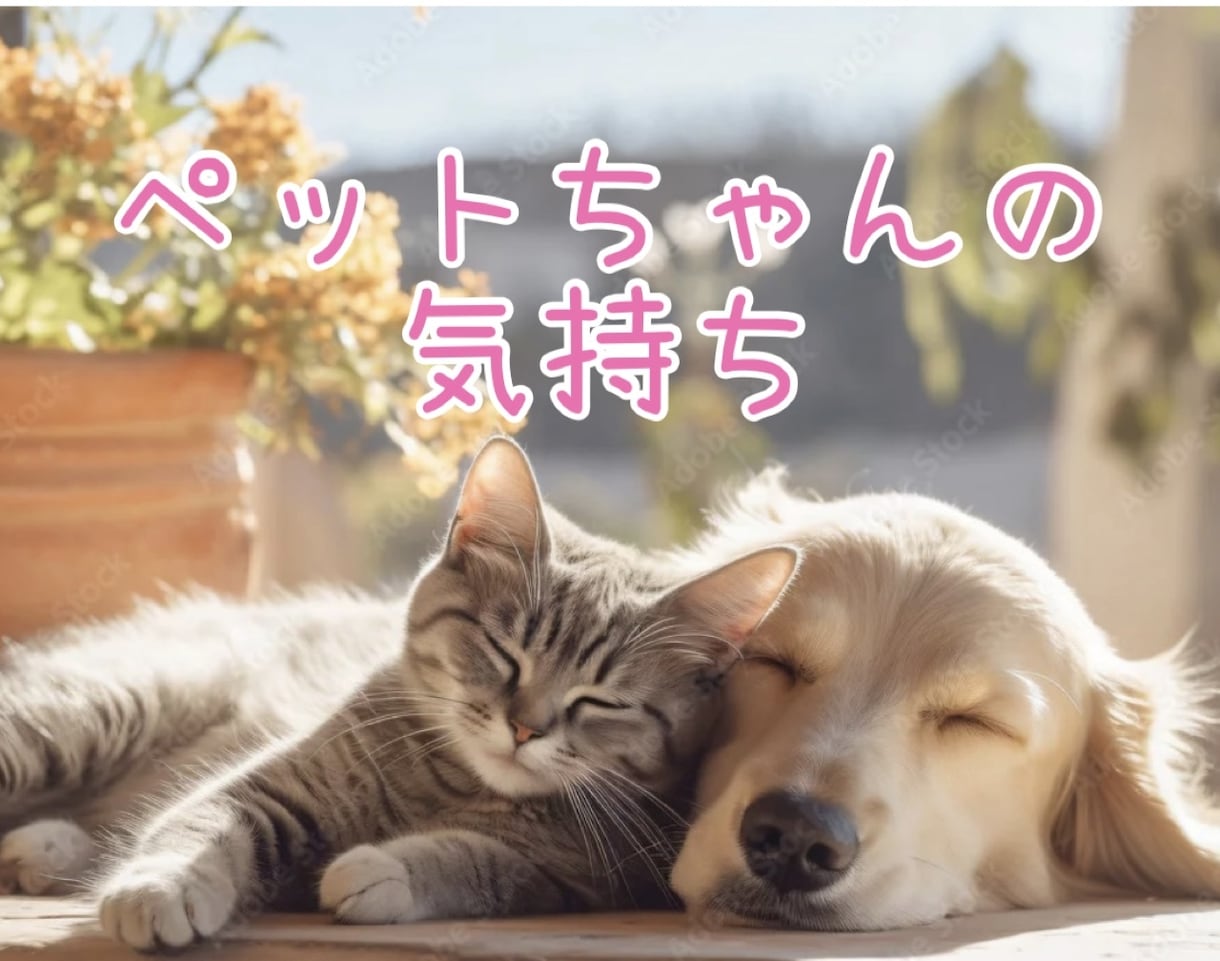 ペットさんの本音◆気持ちとメッセージを鑑定します 虹の橋の子も対応◆今どう思っているのか貴方へのメッセージ！ イメージ1