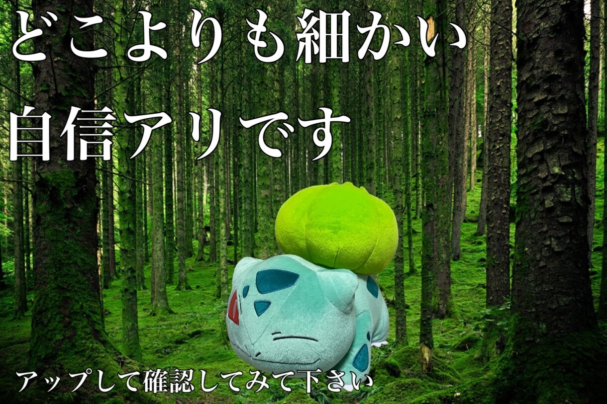 画像加工いたします お客様の記念の思い出の一枚のその向こうに イメージ4