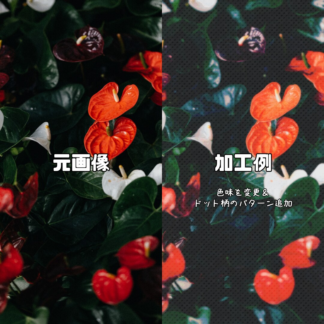 写真等の画像の雰囲気を変えます お持ちの写真にオリジナルのニュアンスが加わります イメージ3