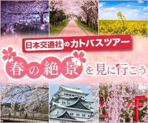 コスパ最高！ハイクオリティー！なバナー制作します ココナラOPENキャンペーン！先着20作品！格安1500円で イメージ4