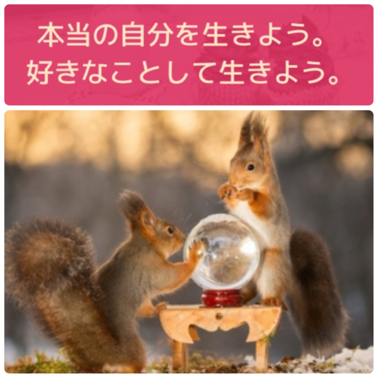 悩みを解決するための占いとカウンセリングをします ☆本当の自分で生きると決めた方へ。2019年占い付き。 イメージ1