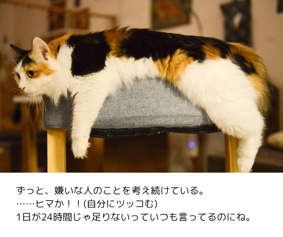 あなたのお話、何でもとことんお聞きします 疲れた時、つらい時、誰かと話したい時、気軽にお越しください✽ イメージ5
