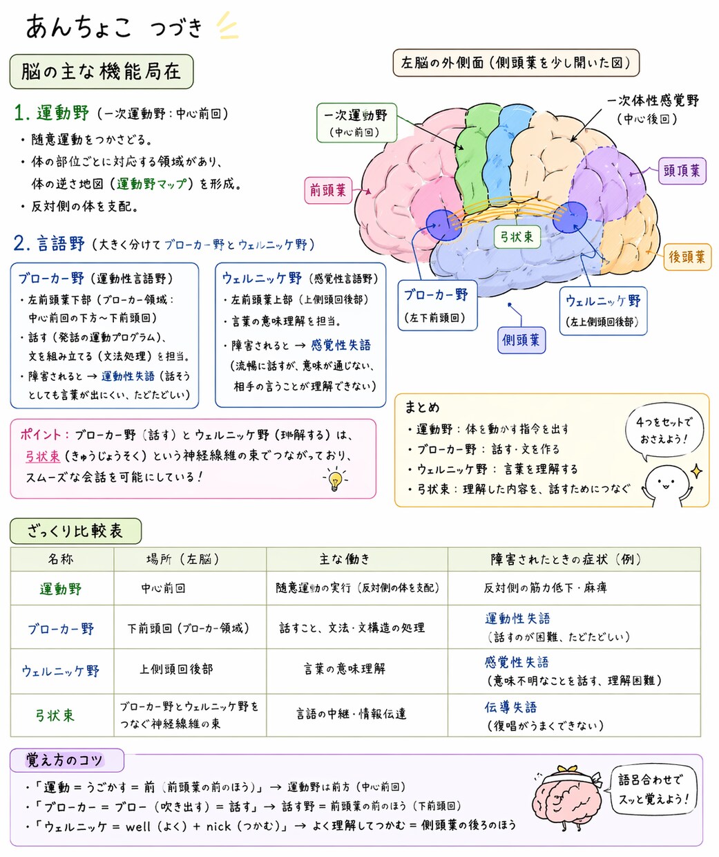 あんちょこみたいな看護スライド資料7項目あります 新人看護師が身につける最初の技術全部セットあんちょこ付き イメージ2