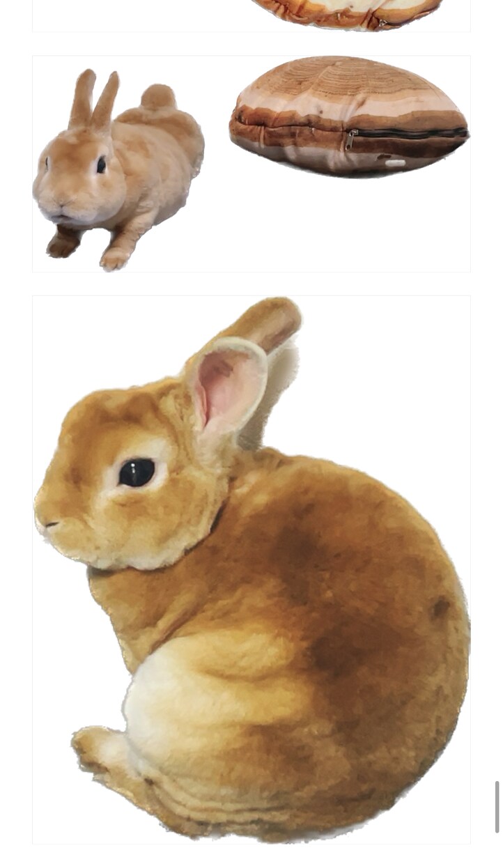 あなたの良さを引き出すバナー制作します イメージにあった画像を使ってアピールしてみませんか？ イメージ8
