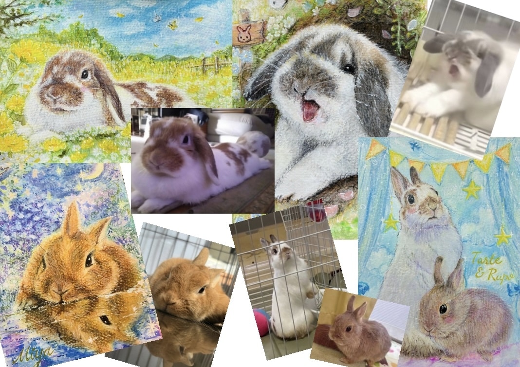 ペットの似顔絵、背景込みで絵本風に手描きします 飾り易いA5サイズ一点物です。プレゼントや虹組さんの思い出に イメージ8