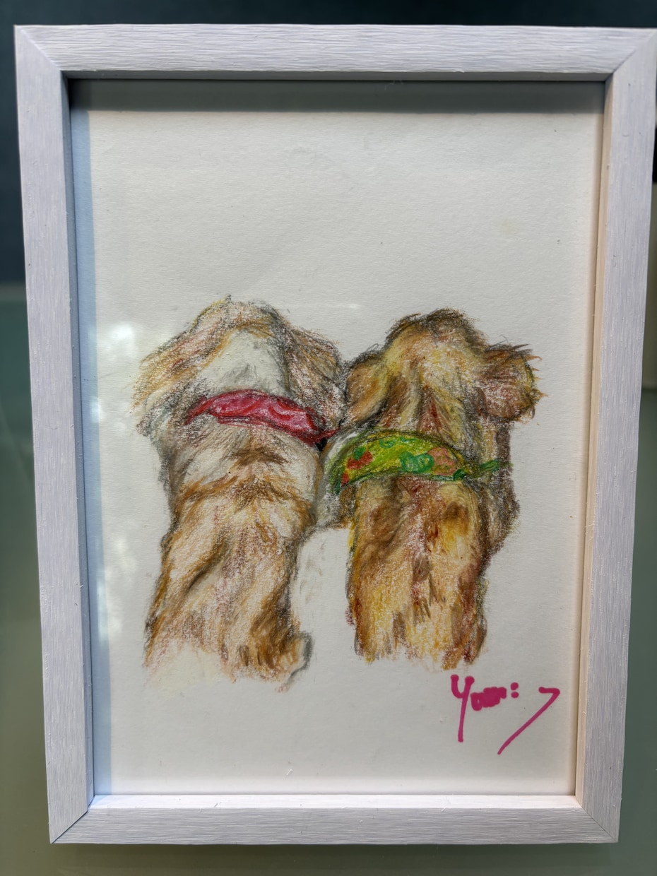 うちの子、お空ぐみの子、を可愛く描きます 可愛くフリーハンド、色鉛筆等でポストサイズからA4判サイズ イメージ3