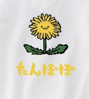 ゆっくり40分♪遠隔で直傳靈氣の施術をいたします ＊横になったままでも、お眠りになっても大丈夫です♪ イメージ4