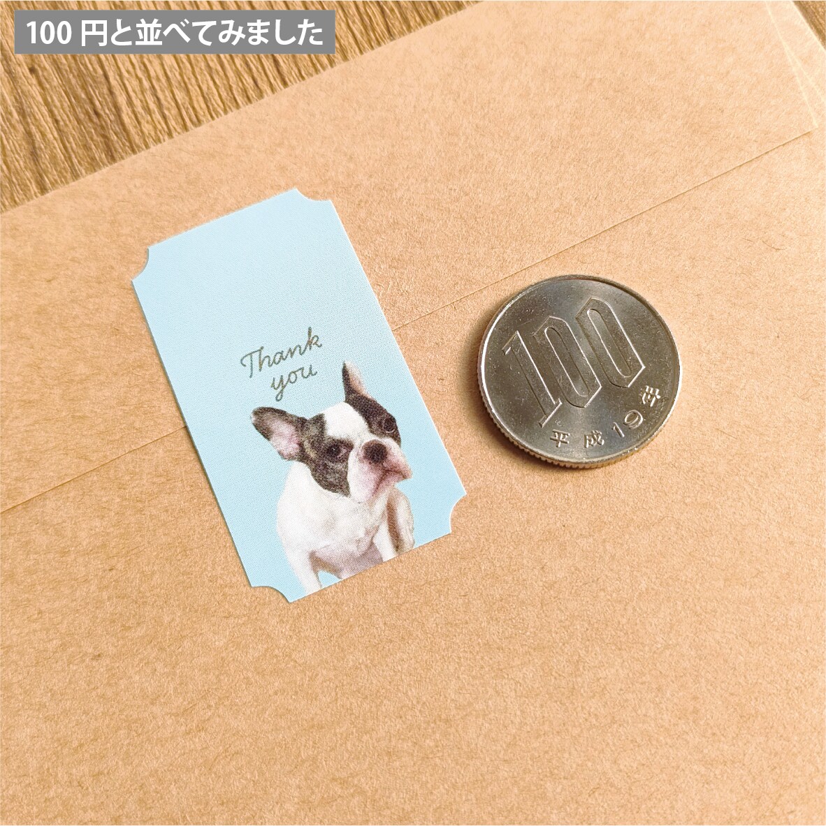 ペット写真でセミオーダー耐水シール50枚つくります 歴15年デザイナーの高品質シール♪背景10色から選べて送料込 イメージ10
