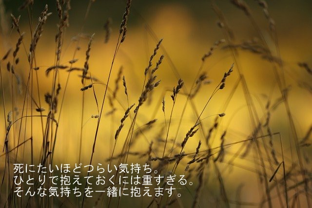 カウンセラーのタマゴが電話で話を聴きます 5分からOK。公認心理師資格取得見込みのプチカウンセラーです イメージ2