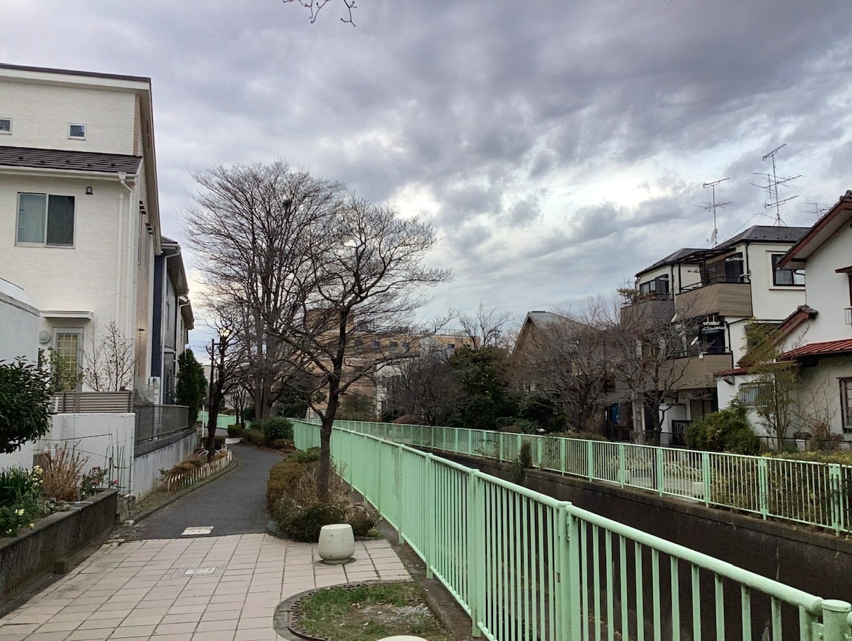 東京近辺どこでも喜んで！街の写真を撮ってきます この街はどんな街？あなたの代わりに訪問して写真を提供します イメージ10