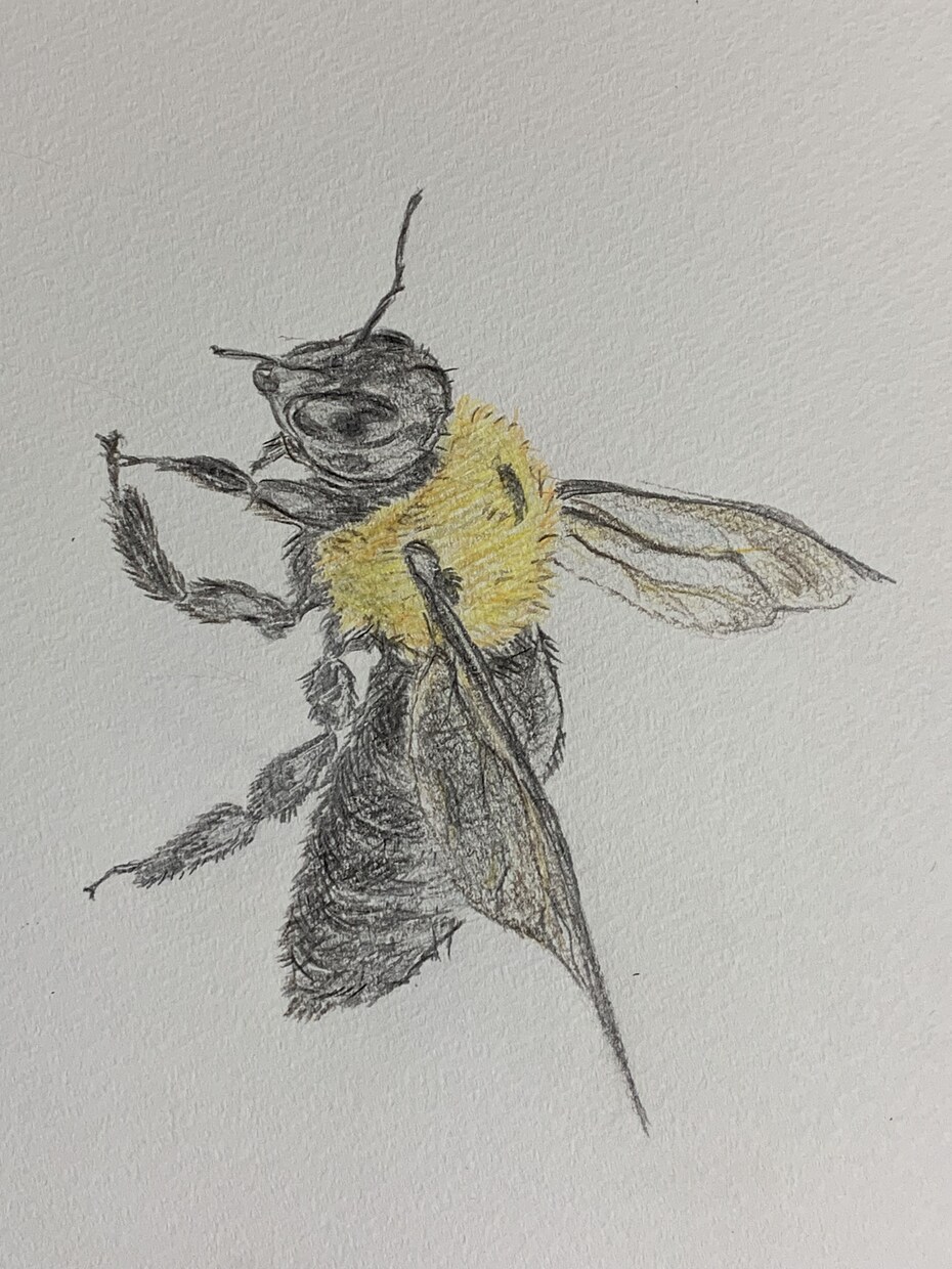 一枚絵なんでも描きます！ます 希望があればなんでも描きます！ イメージ2
