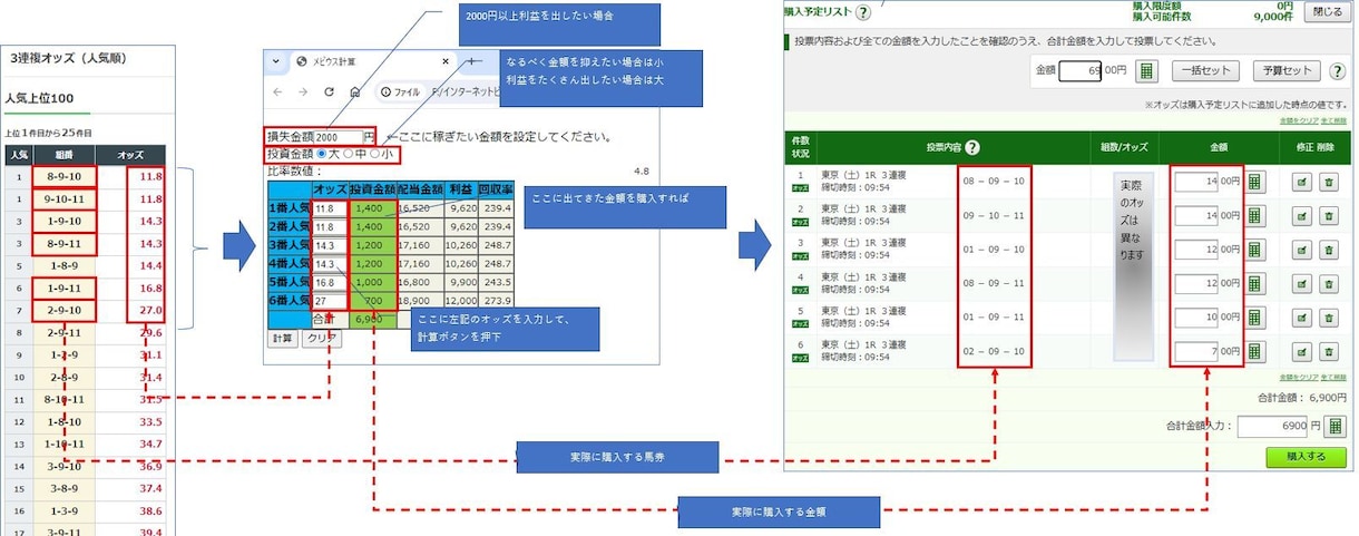 投資競馬で勝つためのやり方をお教えいたします 確率を追い詰めて的中率UPを目指す！確率で攻める投資法 イメージ1