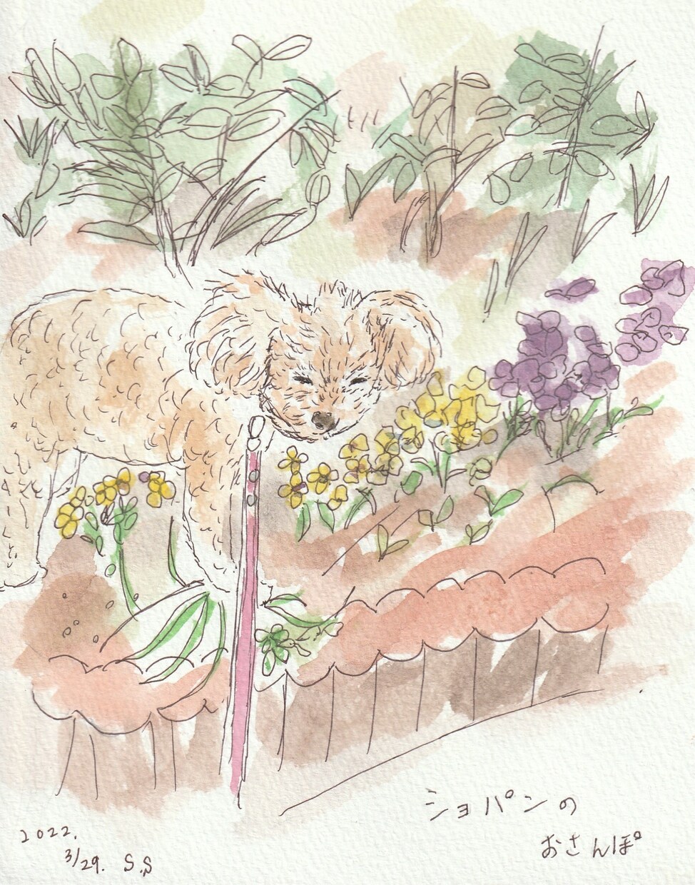 あなたの大切なペットのイラスト描きます 水彩のイラストでかわいいペットのイラスト等を描きます。 イメージ7