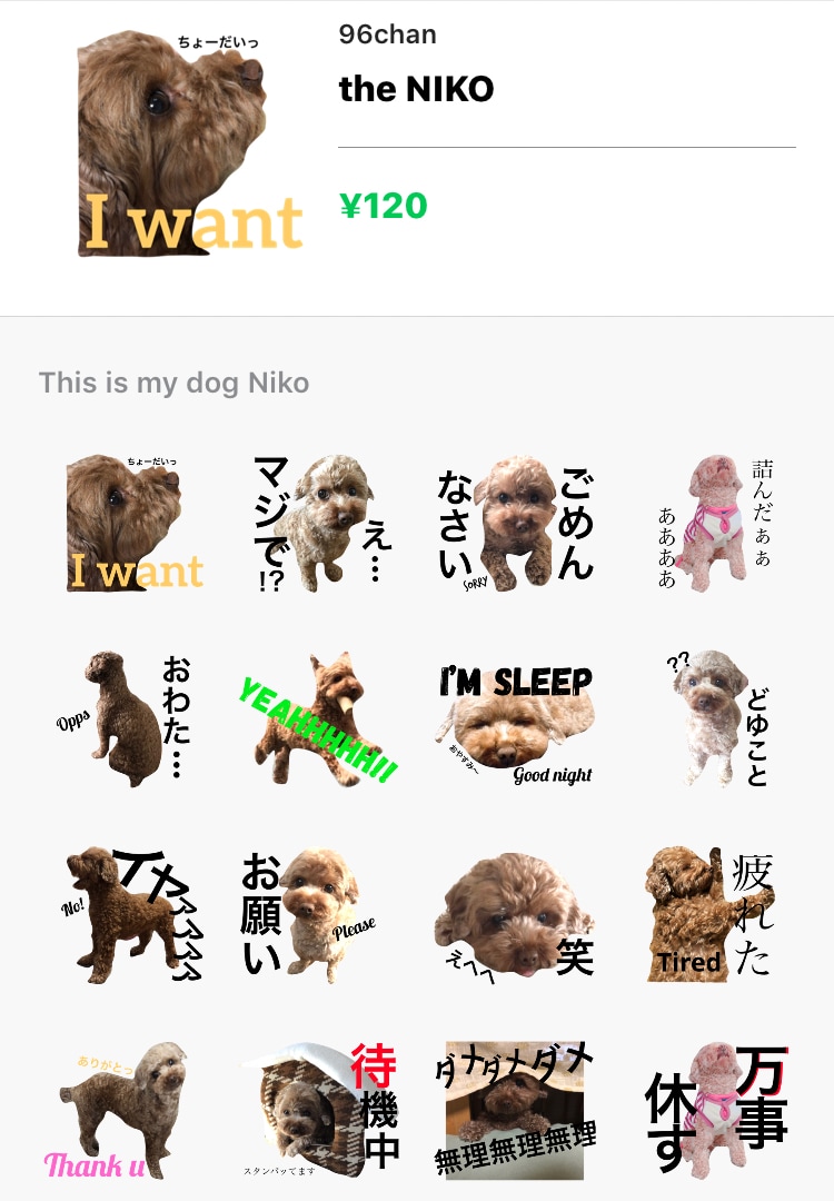 オリジナルLINEスタンプを作成します 写真でペットや赤ちゃん、また自作キャラクターを作りたい方へ イメージ5