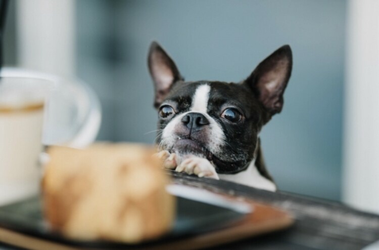 10分で簡単！米粉蒸しパンとアレンジレシピ教えます 小麦アレルギーやグルテンフリー実践中でもパンが食べたい方へ イメージ7