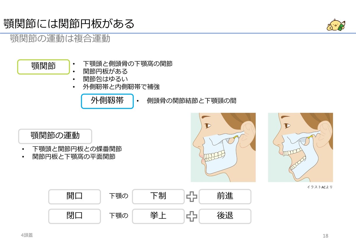 基礎が分かる作業療法士国試対策資料を提供します 骨・関節・靱帯・筋に関するOT国試対策の動画と課題ノート イメージ3