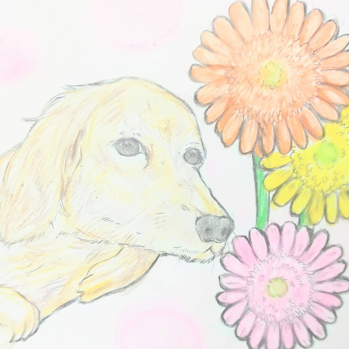 あなたの家族との思い出をイラストに残します 家族やペットへの大切なプレゼント イメージ3