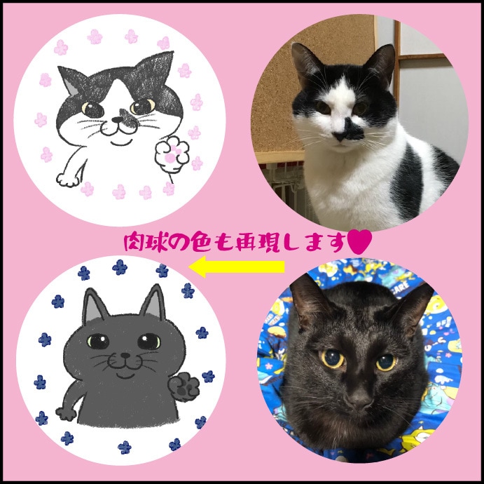 うちの子がピースサイン!?をしたイラスト描きます 肉球がちらり。アイコンなどに♪ イメージ2
