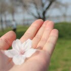 一人ひとりに合った、おうち学習のプランを設計します ーアンケートをもとにそれぞれの家庭での学習の進め方をご提案ー イメージ1