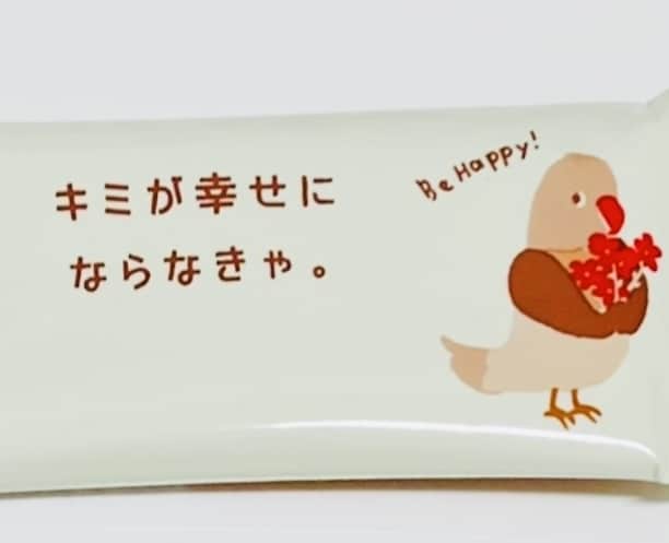 5日間のゆったり交換日記♡癒しと元気をお届けします 「おはよう」「おやすみ」2パターンから選べる心のデトックス✨ イメージ3