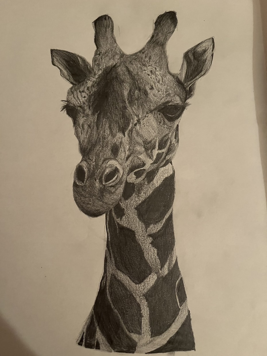 動物、人物の鉛筆画描きます サイズ変更◎ペットの似顔絵デッサンなど〜 イメージ2