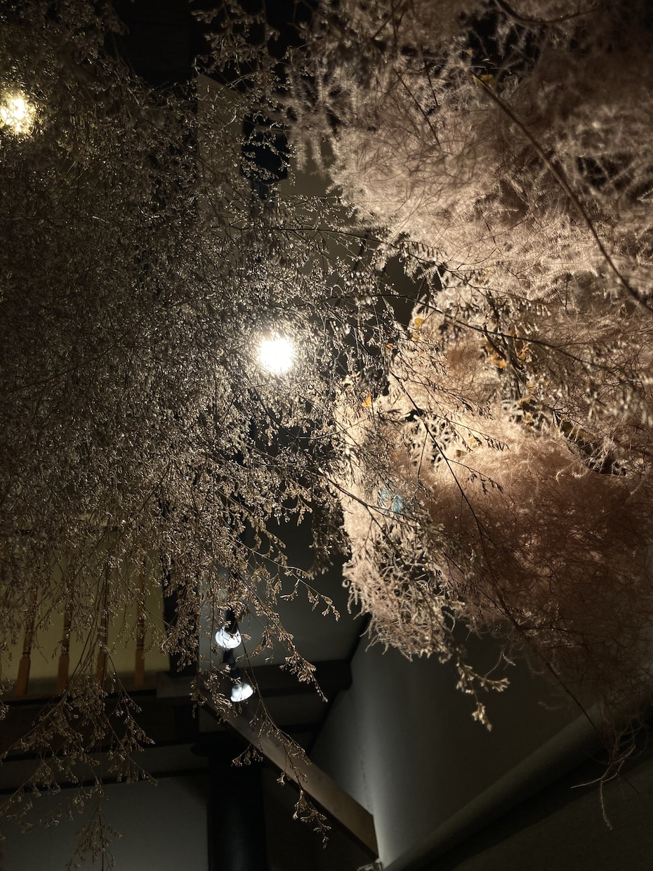 心を支え、軽くする言葉お届けします 毎日が生きやすくなる言葉が欲しいとき、お立ち寄りください。 イメージ3