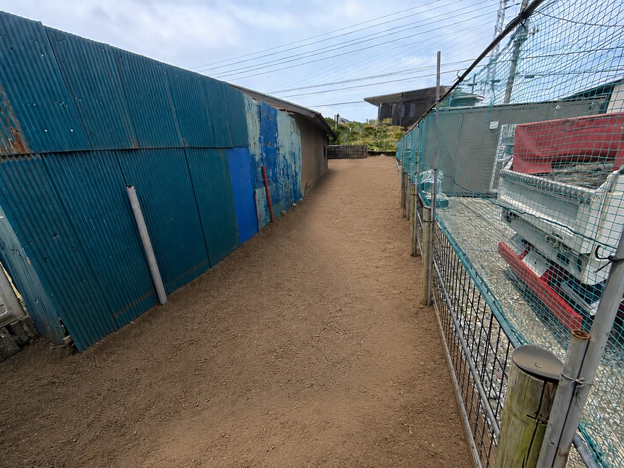 梅…お手頃価格でご希望通りの画像編集/加工致します 個人の趣味や、ちょっとした画像編集にオススメ イメージ5