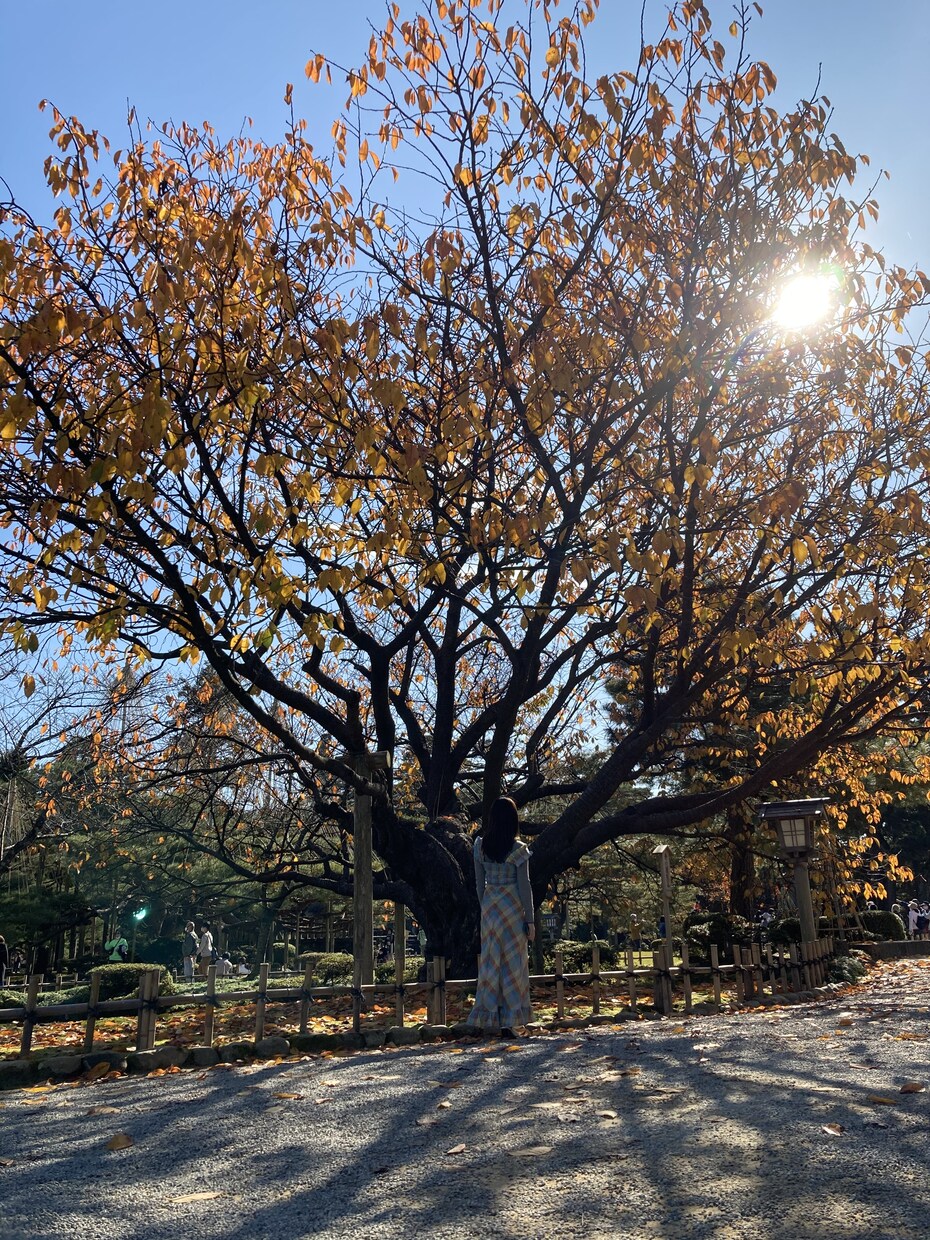 PMDD・PMSにお悩みの方。お話聞きます 経験者にしか分からない悩み‥私に聞かせて下さい*･゜ﾟ イメージ1