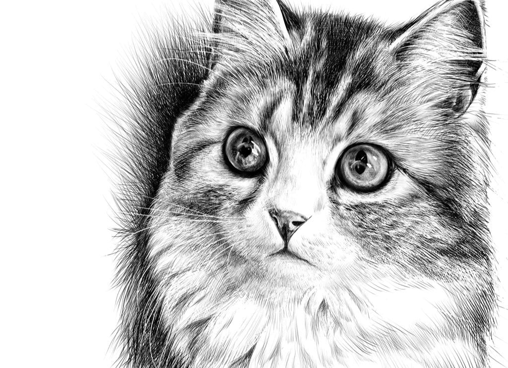 癒される！おしゃれなモノクロペット似顔絵描きます ♪迫力の高画質Ａ３サイズデータ！記念品やアイコンヘッダーにも イメージ3